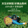 东方甄选刺梨汁100%原汁原浆原液贵州富含VC果汁果蔬汁饮料饮品送礼 【到手10瓶】 50mL*10瓶 *1箱 实拍图