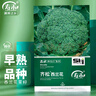 寿禾 西兰花种子种苗青花椰菜盆栽蔬菜种籽 齐松西兰花种子200粒/袋*2 实拍图