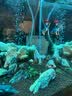 萌嘟星宠 鱼缸摆件装饰造景浮力球漂浮悬浮动态潜水员魔法小仙女 2件套 实拍图