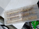 波力海苔味蛋卷216g(54g*4) 休闲零食饼干糕点心代餐五一节日送礼礼盒 实拍图