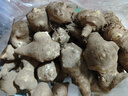【香脆洋姜】新鲜洋姜鬼子姜可腌制鬼子姜姜不辣农家蔬菜菊芋泡菜 洋姜小果 2斤 净重 1.8斤 实拍图