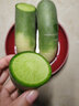 亨迅天津沙窝萝卜脆甜水果萝卜绿青萝卜特产根茎类新鲜蔬菜 尝鲜试吃2枚装丨小沙窝村直发 实拍图