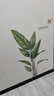 欧仕图（OUSHITU）ins墙贴自粘 清新植物墙壁装饰贴画客厅卧室墙面布置贴纸走廊墙纸 舒心一角（超大） 实拍图