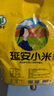 秦食陕北延安黄小米5斤袋装 新小米 油小米 小米粥 杂粮 月子米  实拍图