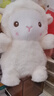 慕曦贝儿可爱八寸公仔毛绒玩具抓机娃娃婚庆抛洒礼物玩偶定制夹布娃娃批发 网红小绵羊高度23 25厘米左右单个价格/颜色随机 实拍图