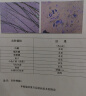 维克药浴派奥洁猫藓猫癣真菌感染沐浴露宠物狗狗螨虫康泰乐猫咪皮肤病 康泰乐237ml（真菌细菌性脓皮） 实拍图