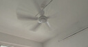 美的（Midea） 小吊扇小型电风扇蚊帐扇家用学生宿舍风扇床上风扇轻音电风扇吊式小电扇 风扇踏青放价 FC70-FA 大号款 实拍图