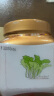 富爸爸切件泡菜750g/瓶 辣白菜 韩式酸辣白菜泡菜  实拍图