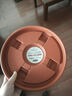生长魔励移动花盆托盘万向轮 加厚滚轮圆形托盘接水盘滑轮底座花卉盆栽 茶色2号内径26cm 实拍图