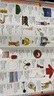 DK儿童图解英语词典 英文原版 DK Children's Illustrated Dictionary 小学生英语5000词汇 英语工具书 搭DK1000个英语常用词词典 DK儿童图解词典 实拍图