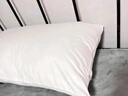 五星级酒店同款枕头枕芯舒适睡眠护颈椎专用一对家用学生宿舍枕头 白色经典款【低枕】 【单只装+枕套】 实拍图