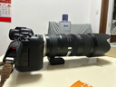 腾龙（Tamron）35-150 70-200 70-300 二手单反相机镜头 中长焦超远摄变焦镜头 腾龙70-200 F2.8 VC G2 A025 95新 佳能口 实拍图