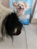 力狼（LILANG）狗粮幼犬粮 博美泰迪柯基金毛边牧全犬种中小型犬通用型狗粮 【鲜肉羊奶】幼犬专研粮8kg16斤 实拍图