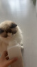 爱立方 爱立方冻干兔肉猫粮185g 成猫幼猫主食全价猫粮 实拍图