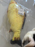 憨憨乐园猫玩具鱼猫薄荷逗猫猫抱枕草鱼幼猫宠物仿真猫咪鱼玩具非电动HD 实拍图