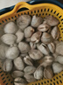 鲜活蛤蜊海捕无沙新鲜花甲贝类生鲜花蛤超大美贝蚬子海鲜水产顺丰 鲜活共3斤（2斤送1斤） 实拍图