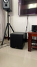 诺普声（Nobsound）SW-100三代 家庭影院超重有源10寸低音炮音箱SW-80升级款 10寸（胡桃木）有源炮 180W【升级款】 实拍图