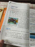 大中华寻宝系列24·福建寻宝记新版儿童中国地理科普知识百科漫画书，儿童科普，人文地理，漫画读物 实拍图