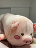 赟娅飞天猪毛绒公仔长条抱枕小猪布娃娃陪睡玩偶床上夹腿专用沙发靠枕 【圆眼款90厘米】独立内胆可拆洗 实拍图