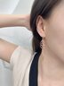 纪诗哲（GIEVSZHE）品牌菱形长款流苏耳钉女简约气质耳环耳饰情人节生日礼物送女友 玫瑰金【全国十一仓 当/次日达】 实拍图