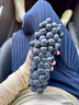 静羽云南夏黑蓝莓葡萄【顺丰】无籽提子新鲜现摘大颗粒孕妇时令水果 夏黑葡萄5斤【一级果礼盒装】 源头直发 实拍图