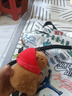 熊猫熊正版卡皮巴拉挂件玩偶书包背包钥匙扣毛绒玩具公仔女生生日礼物女 实拍图