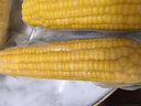田里有草东北甜糯黄玉米非转基因低脂早餐代餐黄糯玉米粗粮真空袋装 【家庭装】黄玉米200g*12根2400g 1箱 实拍图