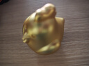 铜师傅 《金韵天成十二生肖》真金鎏镀铜摆件 家居装饰工艺品 十二生肖之鸡 实拍图