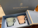 WEDGWOOD[618保价]欢愉假日马克杯情侣对杯杯子水杯咖啡杯高颜值 欢愉假日蓝粉马克杯 2个 350ml 实拍图