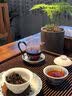 恬和茶叶普洱茶糯米香普洱茶熟茶小沱茶云南普洱茶叶500克装 实拍图