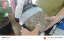 COACH蔻驰女包奢侈品大牌轻奢女士小号单肩手提包盒子包 【保税仓】78277IMCBI卡其配黑 实拍图