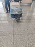 波奇多 宠物航空箱猫狗大容量空运箱 托运航空箱 大号(建议40斤内宠物) 实拍图