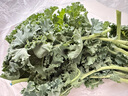 绿食者 羽衣甘蓝 绿叶甘兰嫩叶芥蓝菜kale西餐沙拉健康轻食新鲜蔬菜 500g 实拍图