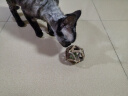 欢宠网猫薄荷球猫玩具猫咪磨牙棒逗猫自嗨解闷神器磨牙猫猫小猫幼猫宠物 实拍图
