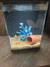 异景园 仿真珊瑚礁石鱼缸造景假山贝壳假珊瑚鱼缸装饰水族箱海水缸摆件 短足珊瑚 实拍图