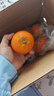 土八鲜江西橙子赣南脐橙新鲜水果赣州脐橙手剥甜橙礼盒 特级橙4.5-5斤【单果210-240g】 实拍图