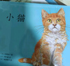 小猫（爱心树童书） 实拍图