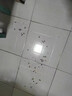 皎洁杀虫剂喷雾蟑螂药灭杀小强神器驱除蚊子苍蝇非全窝端气雾剂600ml 实拍图