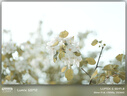 松下S5M2+（50mm F1.8） 白盒单镜头定焦套装  全画幅微单相机 约2420万有效像素 新相位混合对焦 实拍图