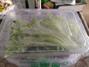 遛洋狗四川特产老成都遛洋狗牛肉干120g*3袋麻辣五香牛肉零食 五香味 360g （120g*3袋） 实拍图