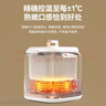 大宇（DAEWOO）煮蛋器蒸蛋器蒸煮一体机酸奶机专业煮鸡蛋神器自动断电24H预约定时多功能早餐蒸煮机 单层 白色 实拍图