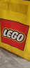 乐高（LEGO）积木哈利波特76446 骑士巴士历险记男孩女孩儿童玩具礼物家居装饰 实拍图