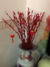 【红色招财银柳】干花真花鲜枝耐寒年宵花水培花卉室内摆放装饰花 60厘米【30支】送灯笼 实拍图