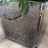 寿禾 玻璃瓶加厚透明植物插花水培容器 15*15大号方形水培玻璃瓶 实拍图