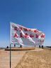 安踏轻风T丨速干运动短袖t恤女士夏季新款吸汗透气跑步训练上衣瑜伽服 实拍图