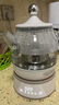 膳魔师（THERMOS） 迷你养生壶办公室煮茶器电水壶恒温电热水壶玻璃花茶壶养生杯 礼物 EHA-1602E （奶油白0.55L） 0.55L 实拍图