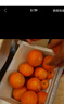 【热销】湖北秭归脐橙鲜果上市 带箱5斤60-65mm 实拍图
