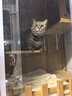伊纳宝湿粮包妙好猫零食猫粮奖励妙鲜包猫湿粮鲜封包海洋鱼猫用猫咪湿粮 【临期8月到期】随机混合40g*16包 实拍图
