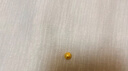 周六福新年礼物 黄金999元宝金条小金豆爱心赏金玩咖投资金系列 计价 金豆 - 2g 实拍图