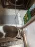 多可特狗窝凉席夏季狗窝猫垫子猫窝狗垫子藤编猫咪窝地垫宠物床宠物冰垫 凉席款,40*30CM 实拍图